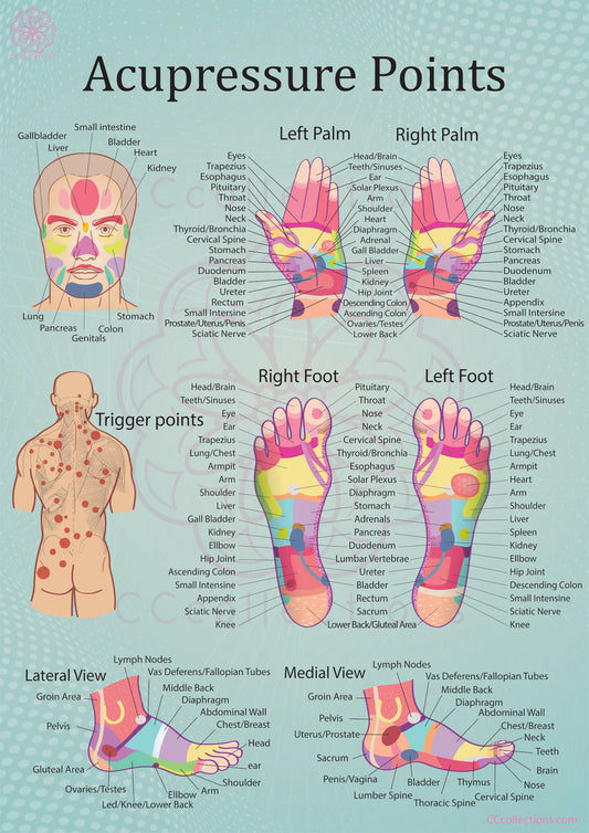CCcollections Professional Reflexology Charts & Posters for Feet, Hands & Body | Therapy Room & Self-Treatment Guide
