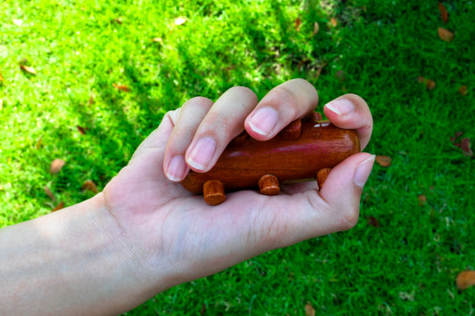 CCcollections Multipoint Cactus Hand Massage Tool | Reflexology & Chi Activation for Feet & Hands