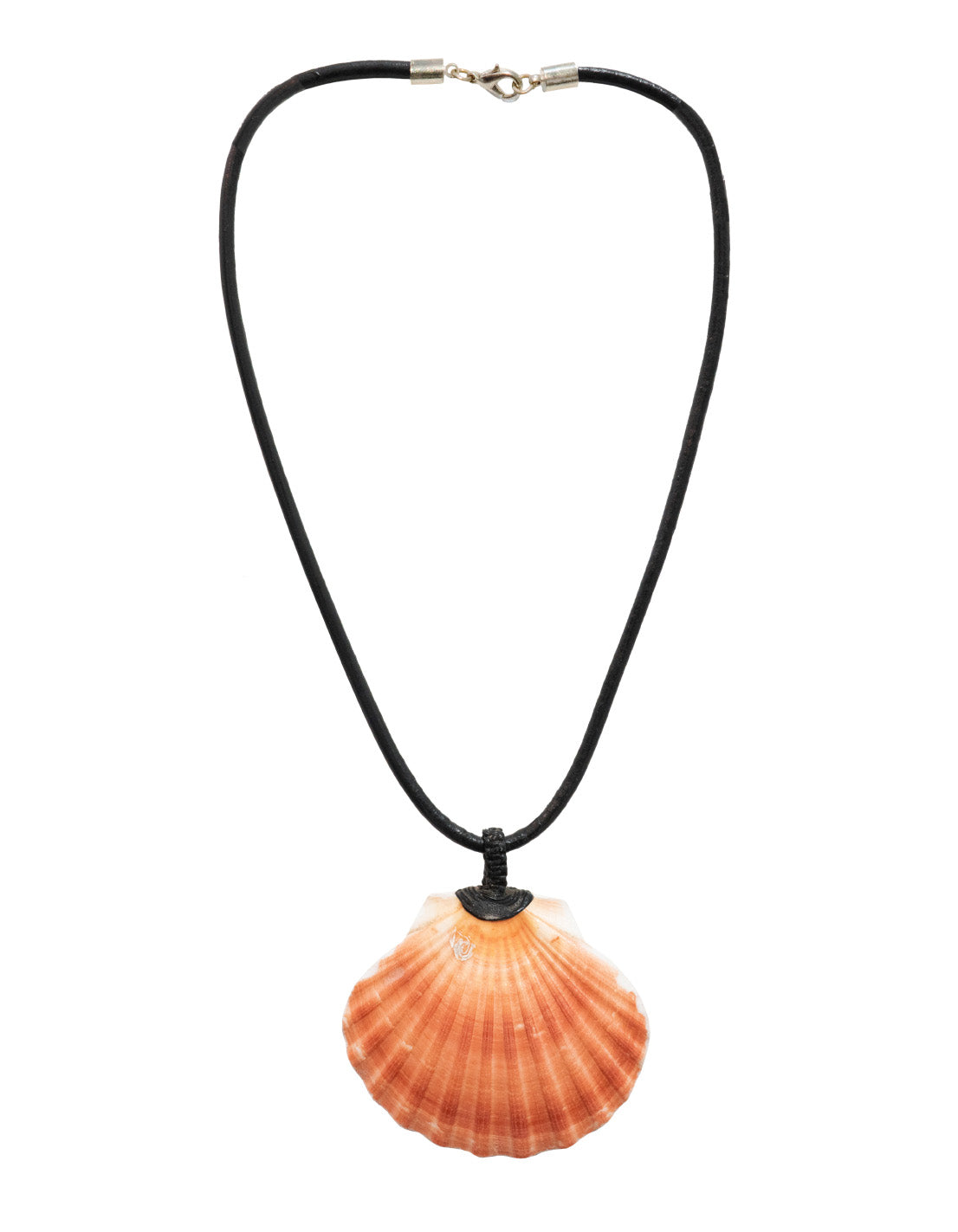 Leather Cord Necklace With Natural Shell Pendant – CCcollections