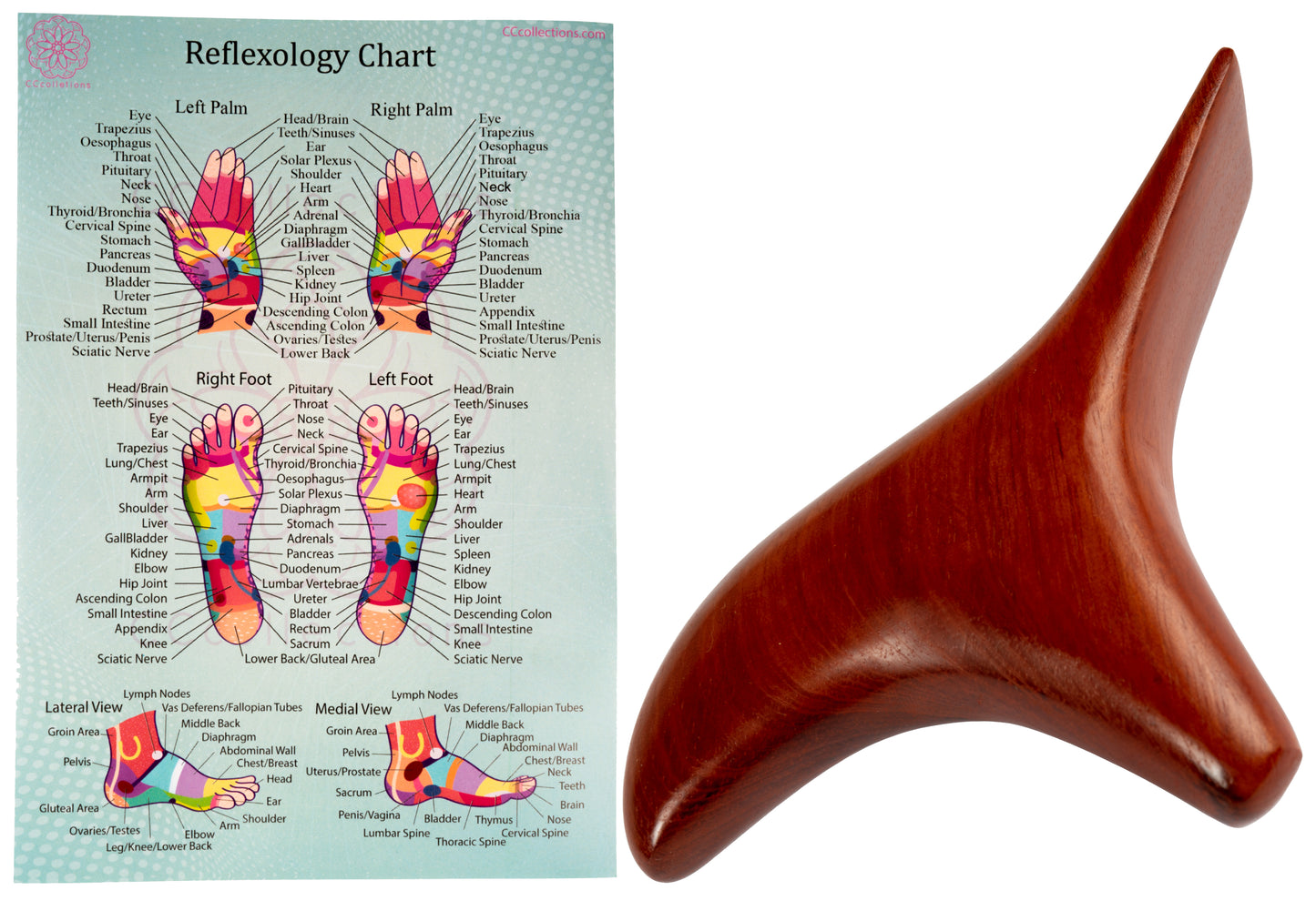 Versatile Wooden Manual Massage Tool Sets for professionals with ENGLISH Reflexology Charts - CCcollections - CCCollections