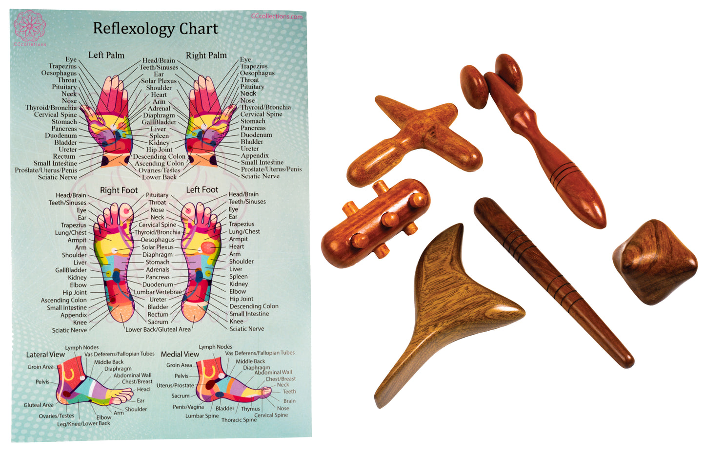 Versatile Wooden Manual Massage Tool Sets for professionals with ENGLISH Reflexology Charts - CCcollections - CCCollections