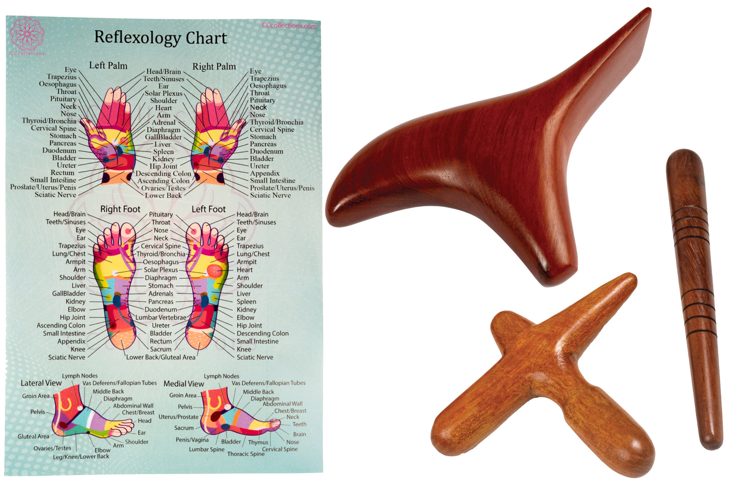 Versatile Wooden Manual Massage Tool Sets for professionals with ENGLISH Reflexology Charts - CCcollections