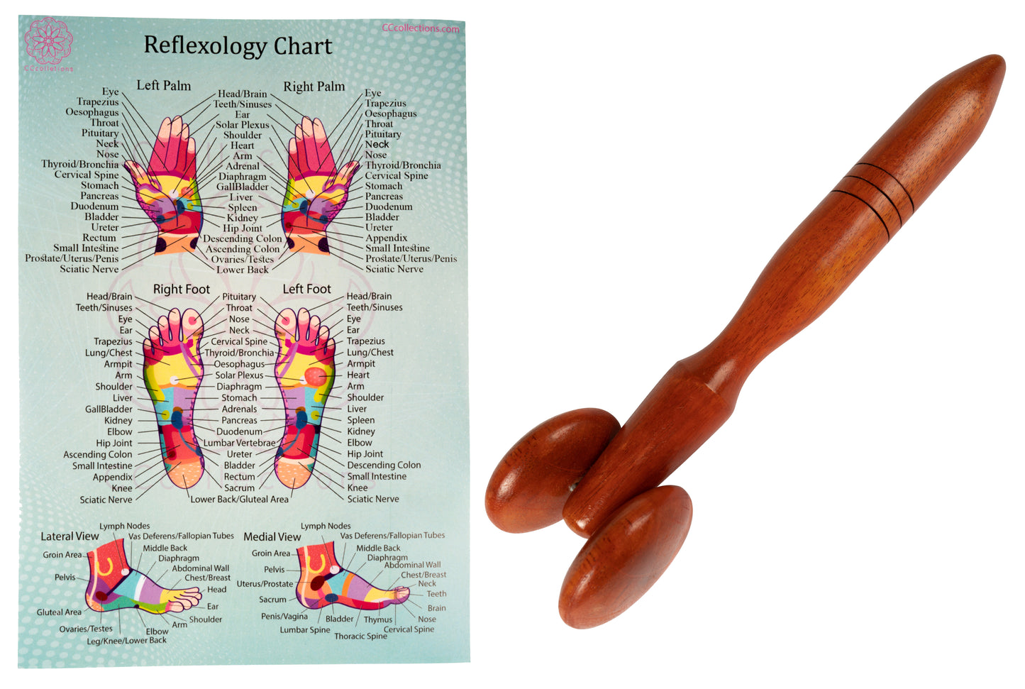 Versatile Wooden Manual Massage Tool Sets for professionals with ENGLISH Reflexology Charts - CCcollections - CCCollections