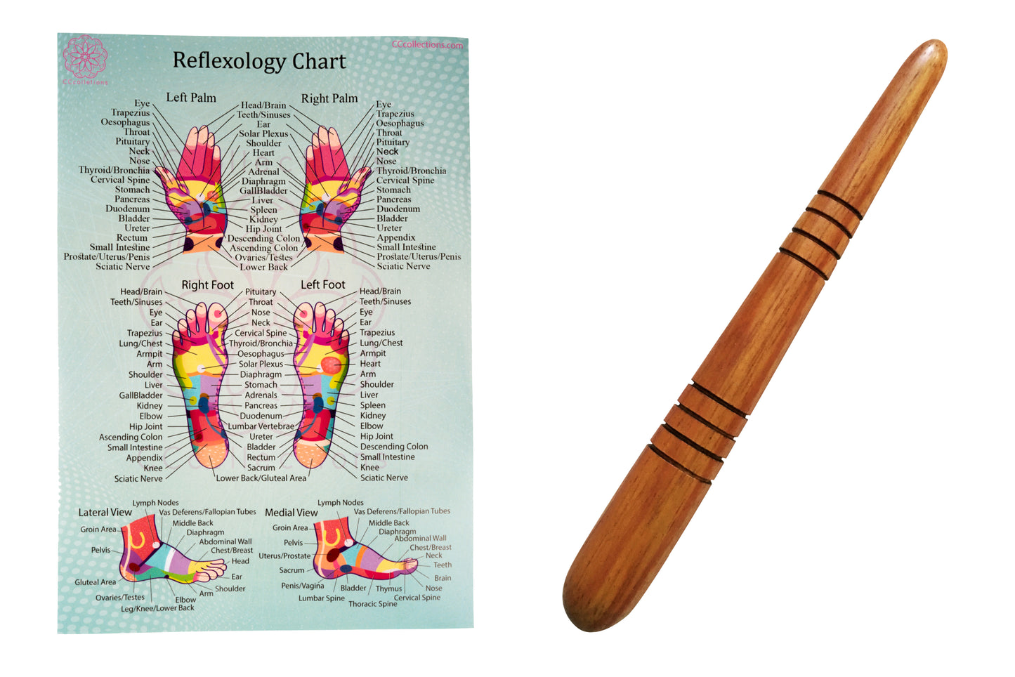 Versatile Wooden Manual Massage Tool Sets for professionals with ENGLISH Reflexology Charts - CCcollections - CCCollections