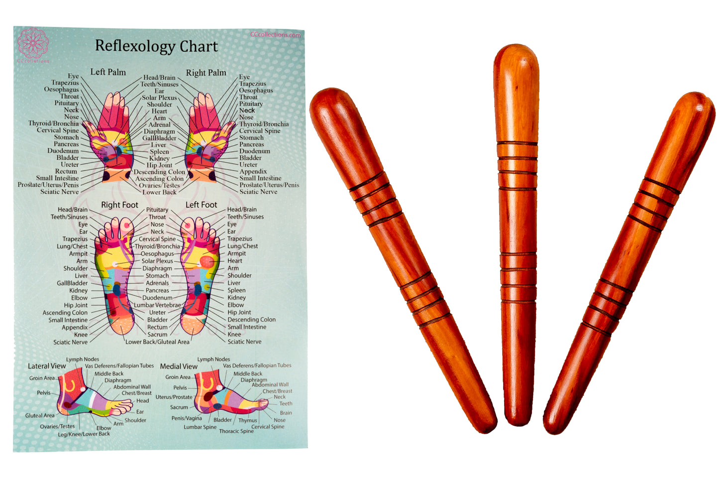 Versatile Wooden Manual Massage Tool Sets for professionals with ENGLISH Reflexology Charts - CCcollections - CCCollections